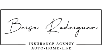 Brod Agency Logo